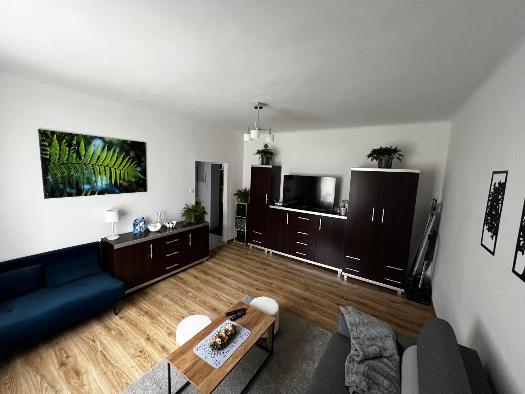 Apartament Paprotka Скаржиско-Каменна Экстерьер фото